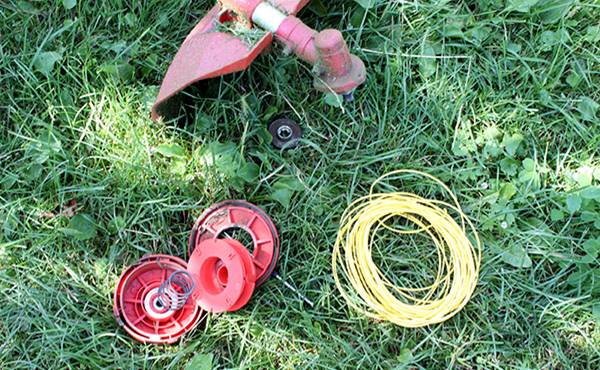 Reel and fishing line