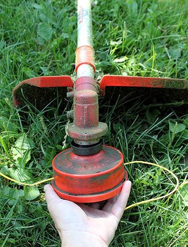 Trim mount