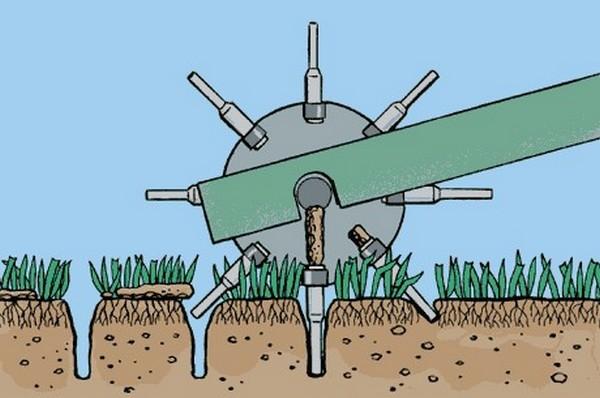 Lawn aeration