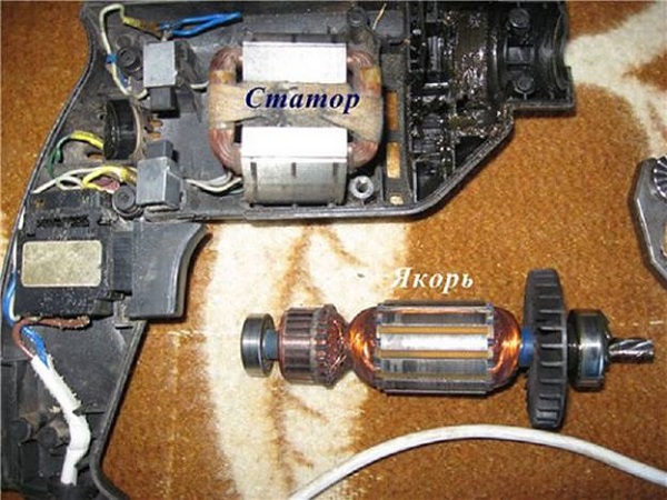 Stator and anchor