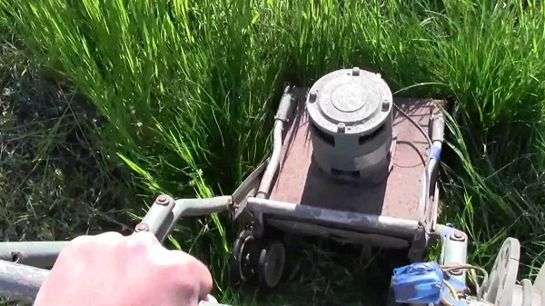 Homemade Lawn Mower