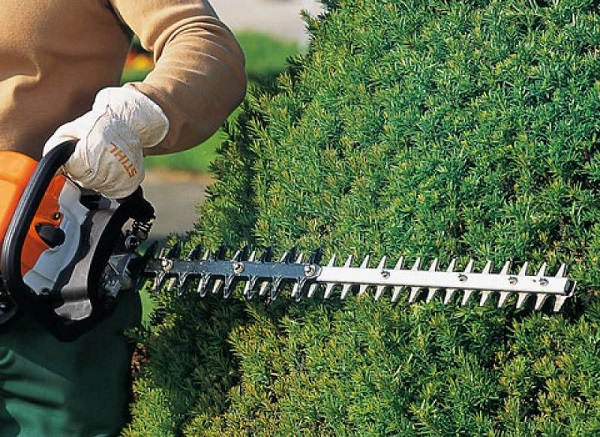 Gasoline brush cutter