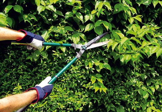 Mechanical brush cutter