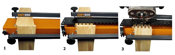 Tenoning device