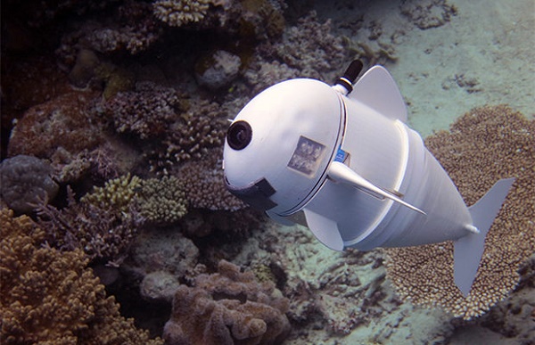 Robot in the ocean