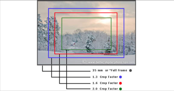 Crop factor