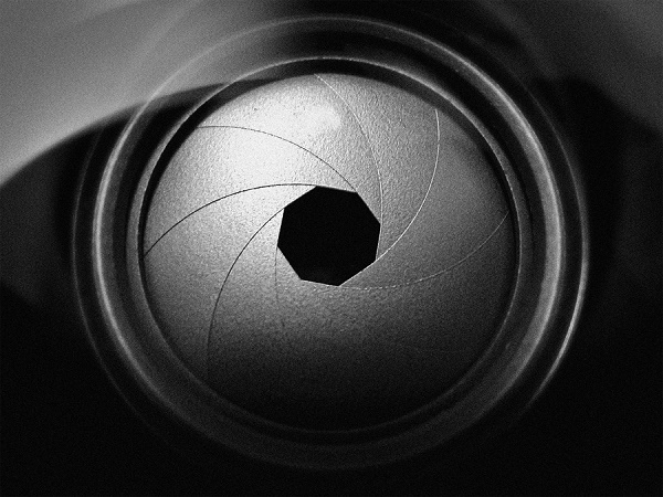 Diaphragm