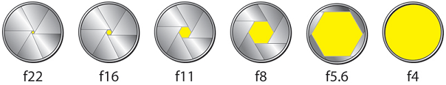Diaphragm