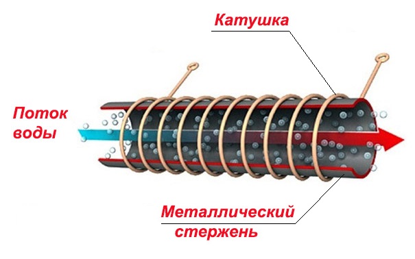 Coil