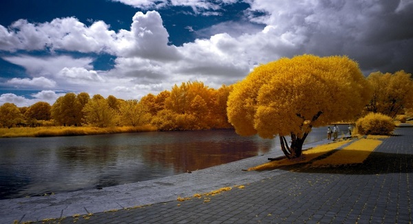 Infrared light filter