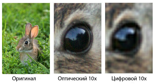Digital zoom