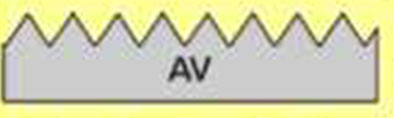 AM