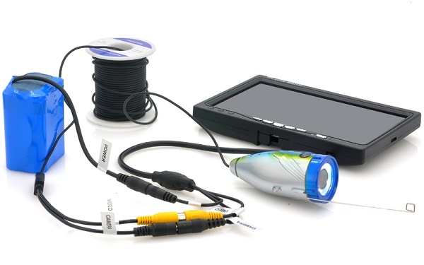 Camera with monitor