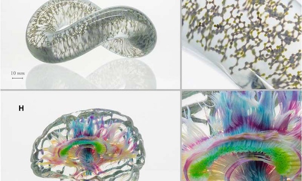 3D objects