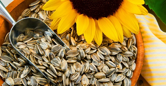 Sunflower seeds