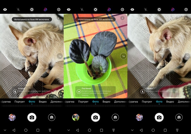 Honor Smart Camera 10