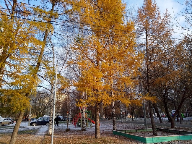 Photo in daylight