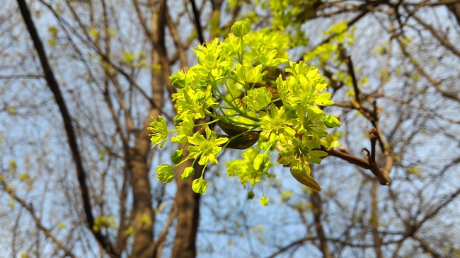 Sample photo