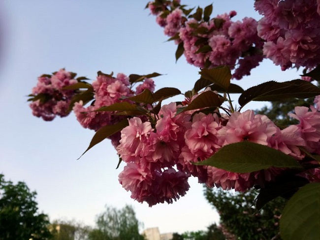 Sample photo