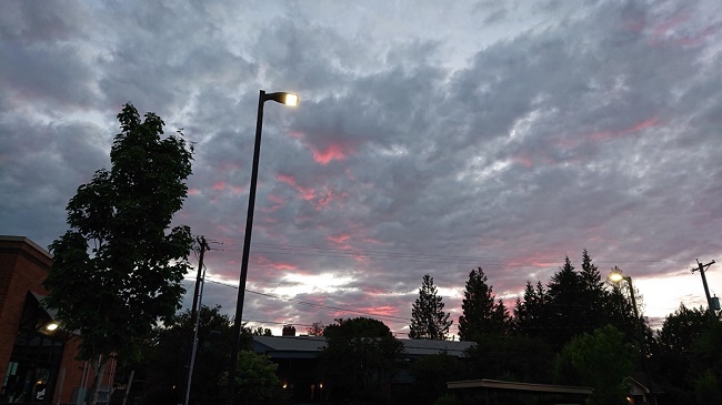 Sample photo from the camera