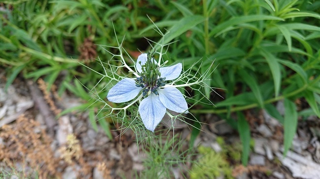 Sample photo