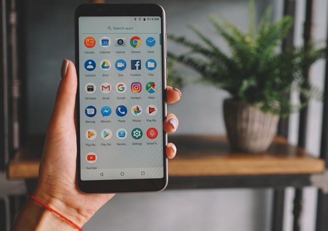 Asus Zenfone Max Pro M1 in hand