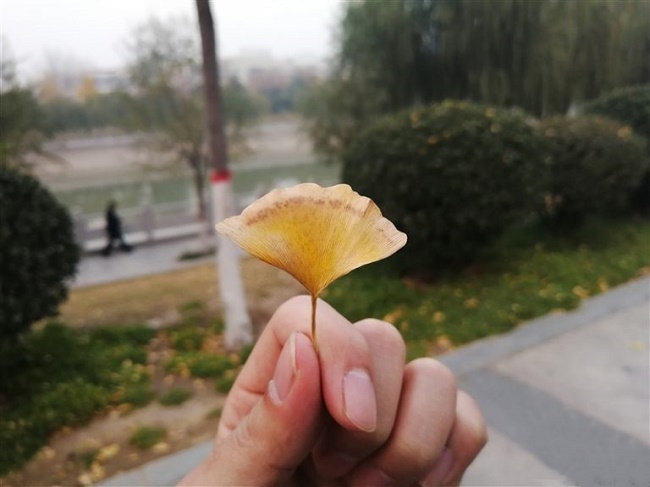 Sample photo
