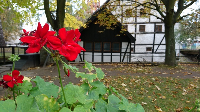 Sample photo 1