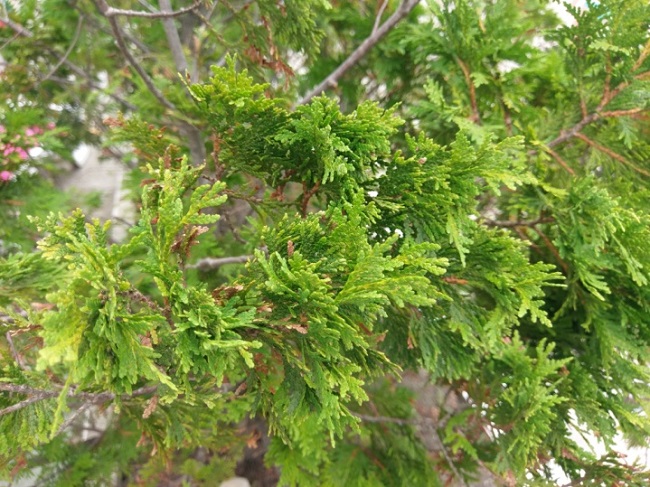 Sample photo2